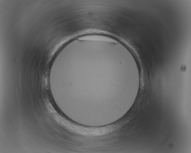 X0000114720015200912021205