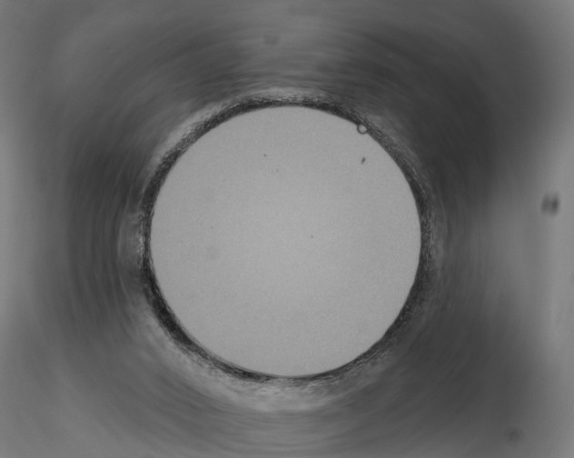 X0000114720016200912021205