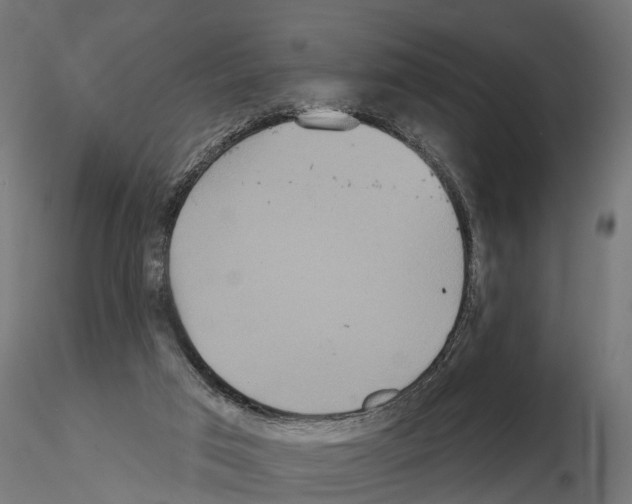 X0000114720017200912021205