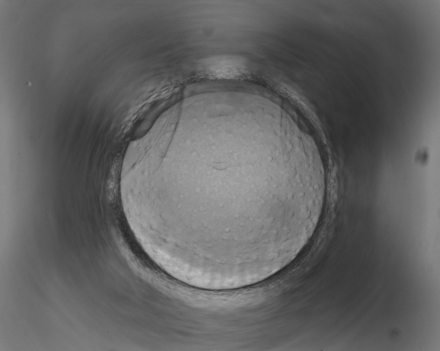 X0000114720018200912021205