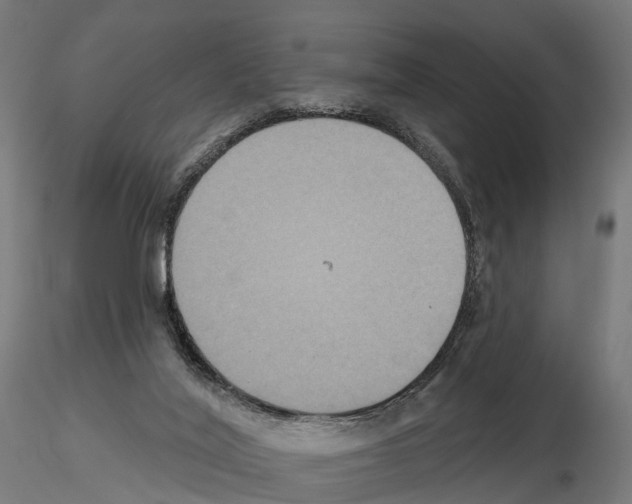 X0000114720020200912021205