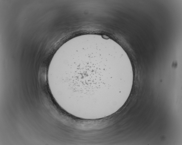 X0000114720021200912021205