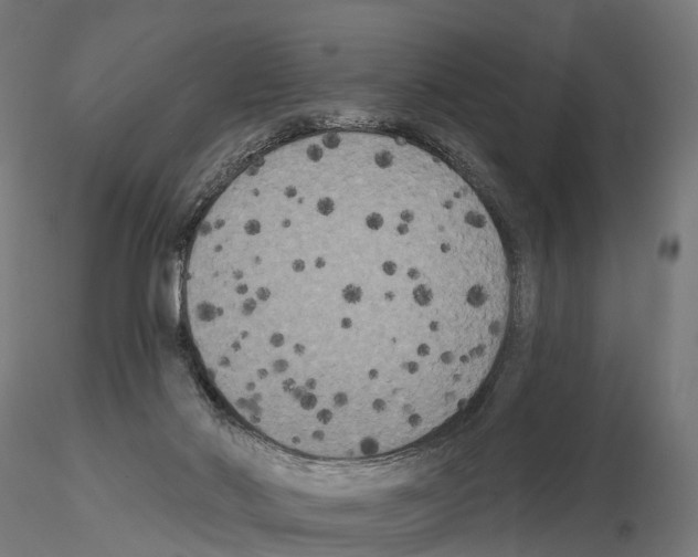 X0000114720022200912021205