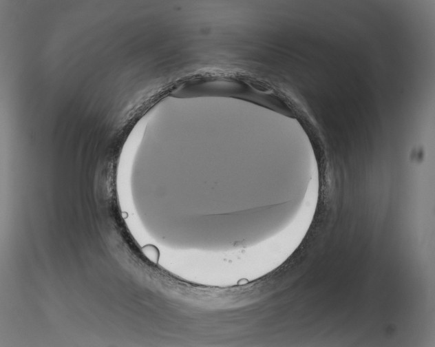 X0000114720023200912021205