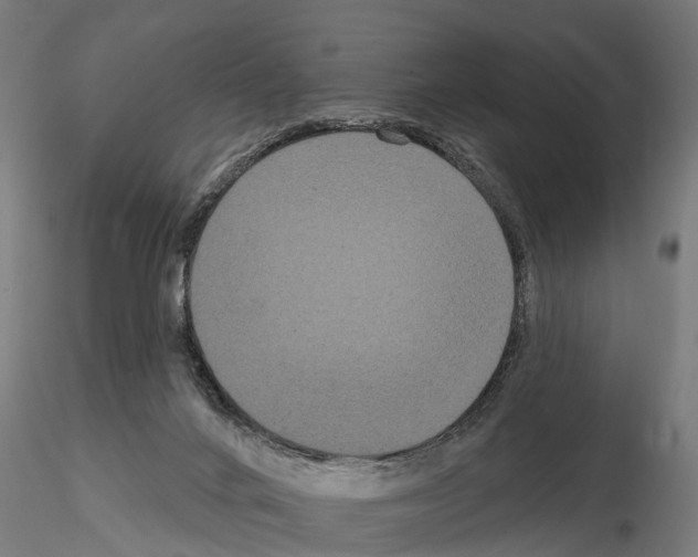 X0000114720024200912021205