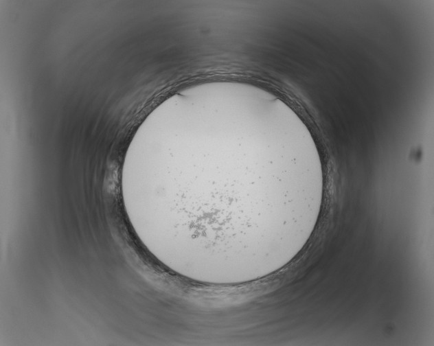 X0000114720025200912021205