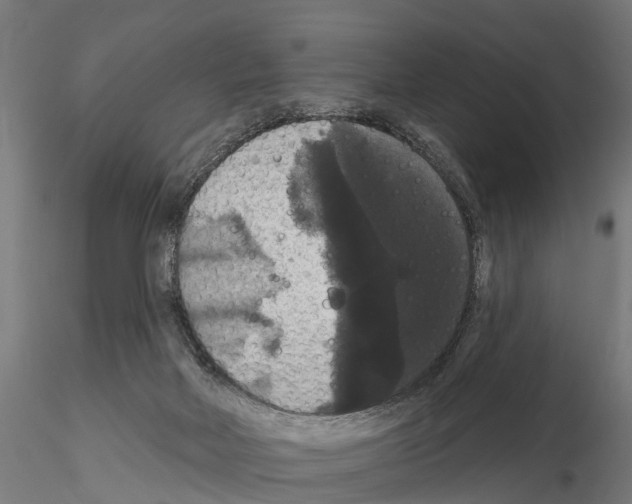 X0000114720026200912021205