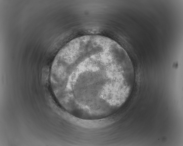 X0000114720030200912021205