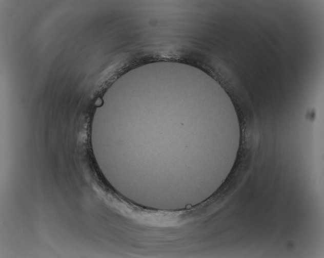 X0000114720032200912021205