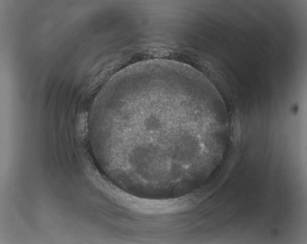 X0000114720034200912021205