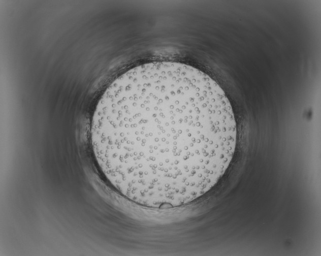 X0000114720038200912021205