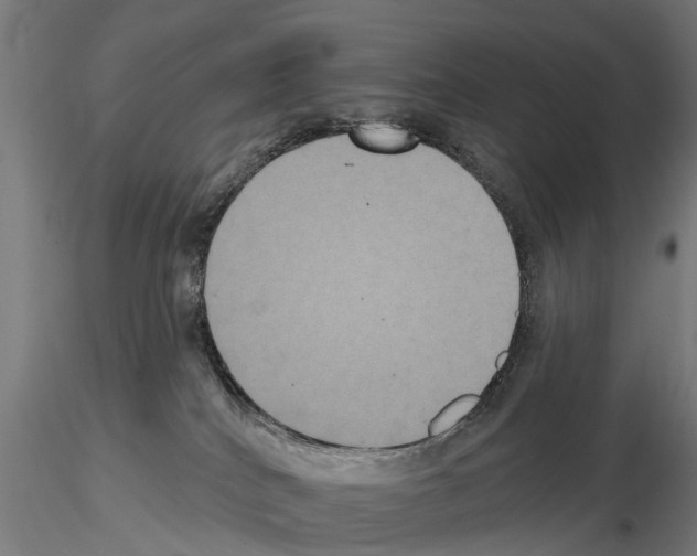 X0000114720040200912021205