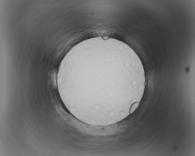 X0000114720042200912021205