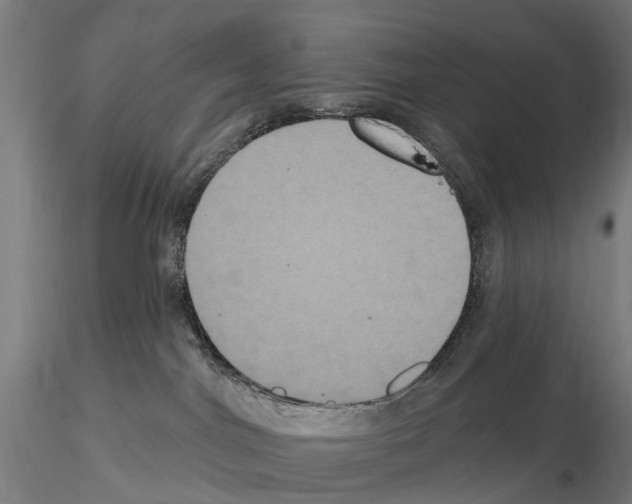 X0000114720044200912021205