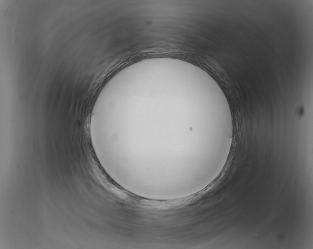 X0000114720045200912021205