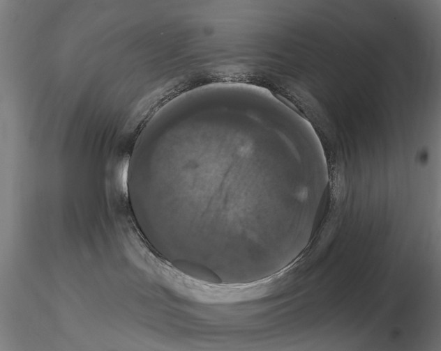 X0000114720047200912021205