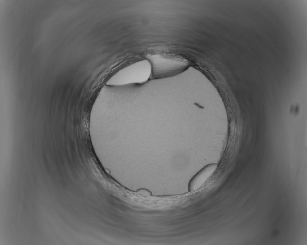 X0000114720048200912021205