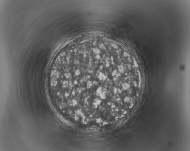 X0000114720049200912021204