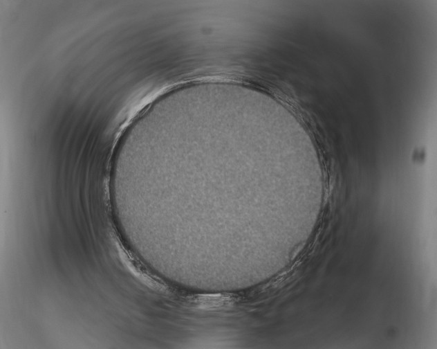 X0000114720050200912021204