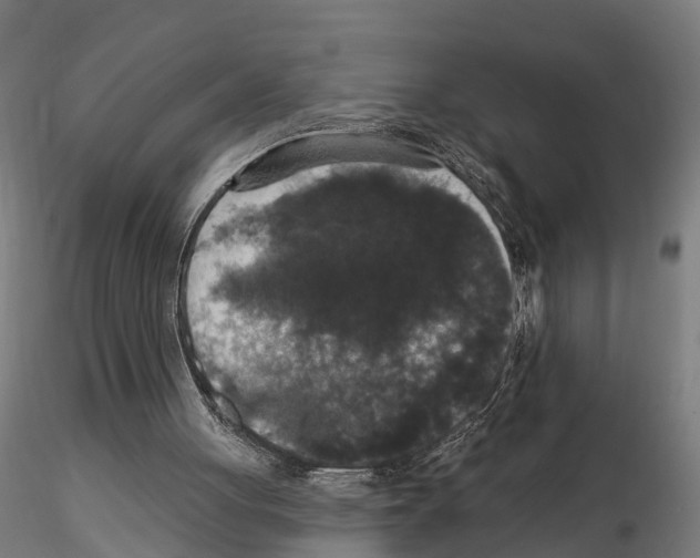 X0000114720051200912021204