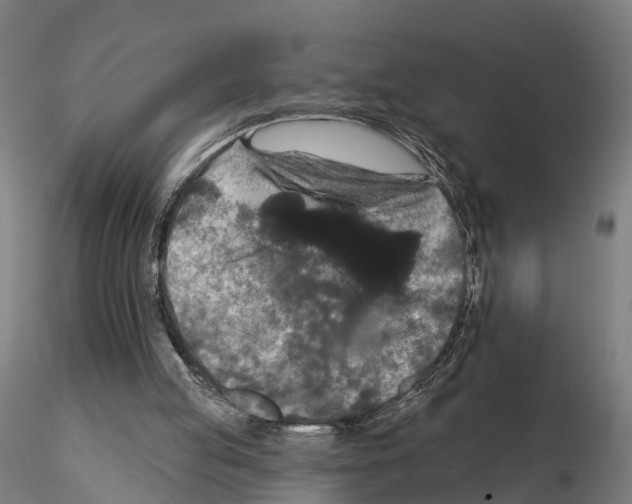 X0000114720053200912021204