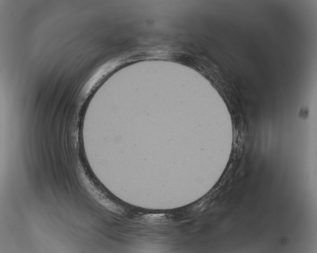 X0000114720054200912021204