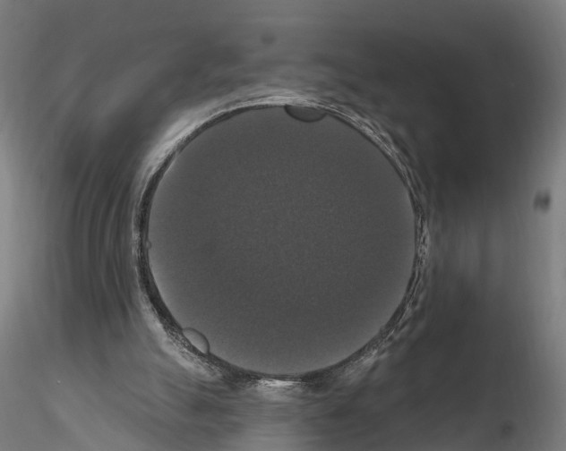 X0000114720055200912021204