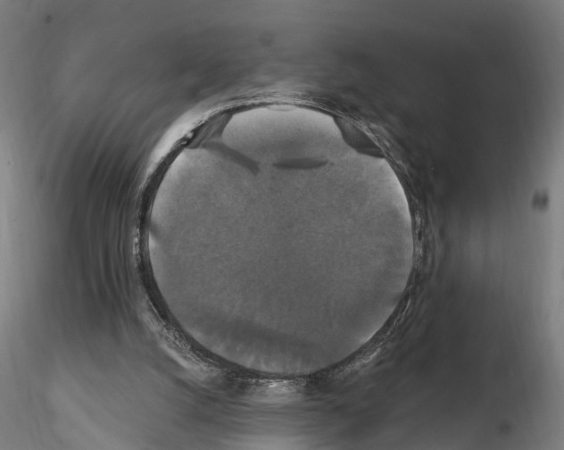 X0000114720056200912021204