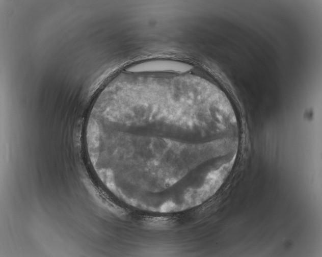 X0000114720058200912021204