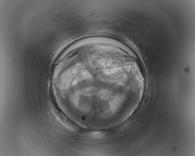 X0000114720059200912021204