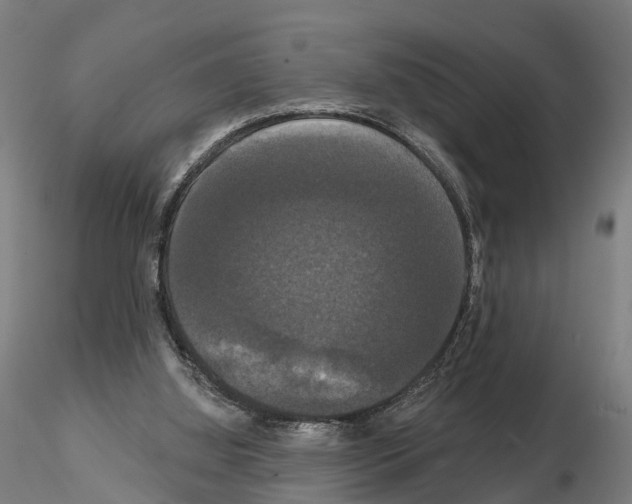 X0000114720060200912021204