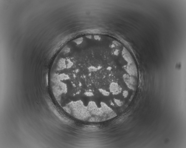 X0000114720061200912021204