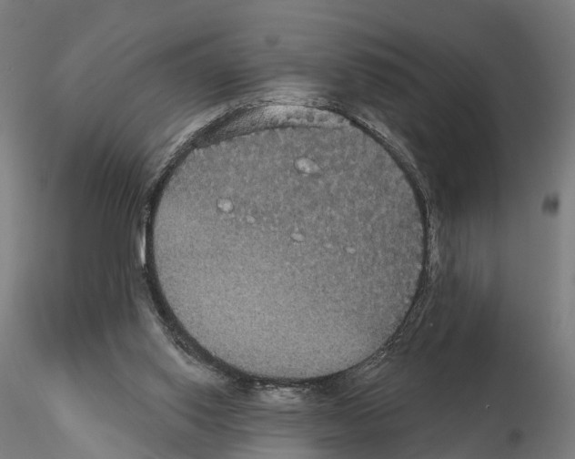 X0000114720062200912021204