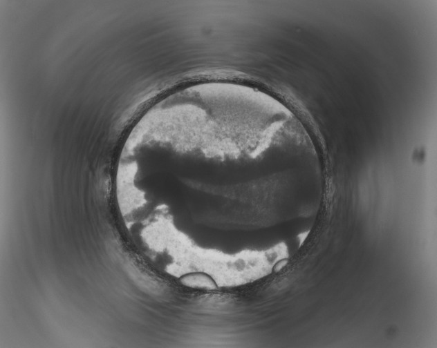 X0000114720063200912021204