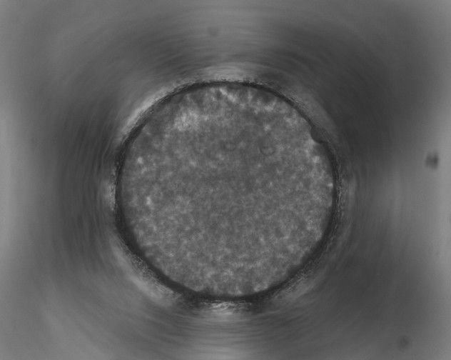 X0000114720064200912021204