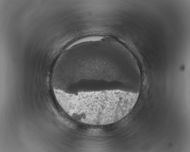 X0000114720066200912021204