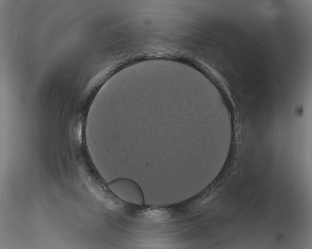 X0000114720067200912021204