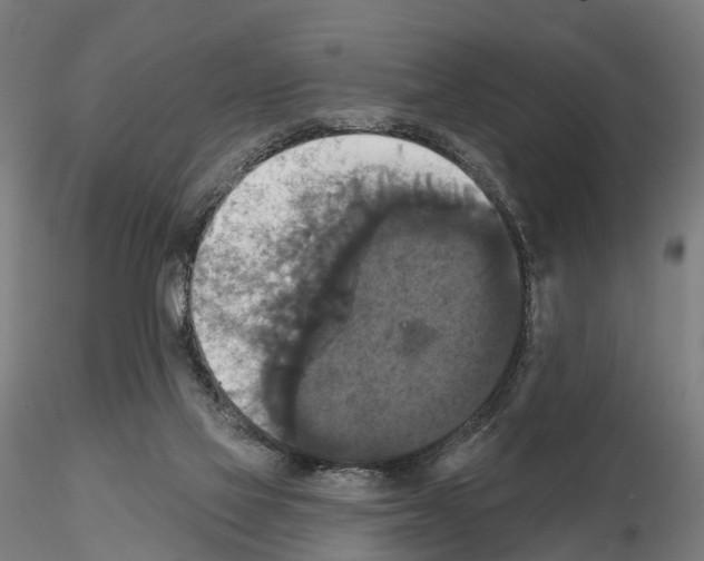 X0000114720069200912021204