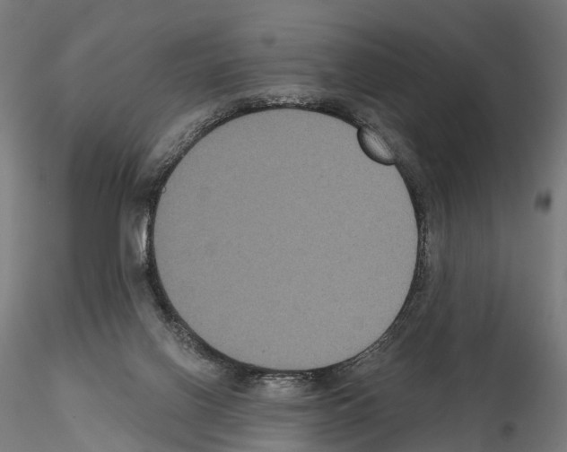 X0000114720070200912021204