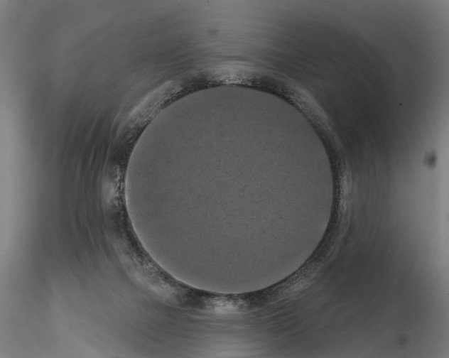 X0000114720073200912021204