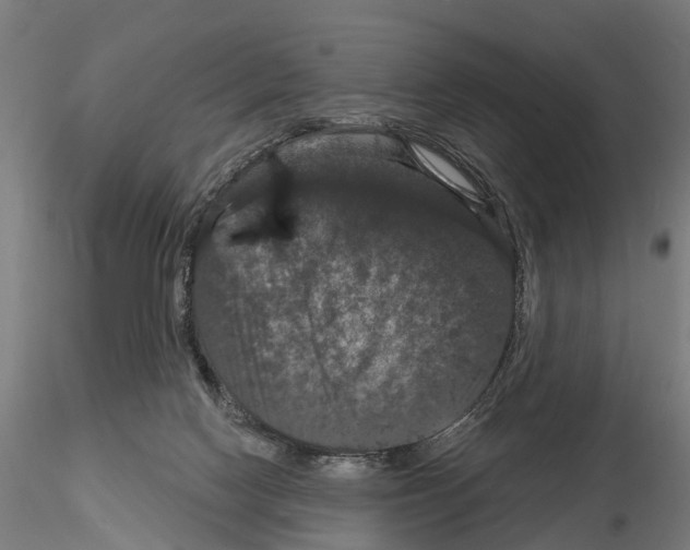 X0000114720074200912021204