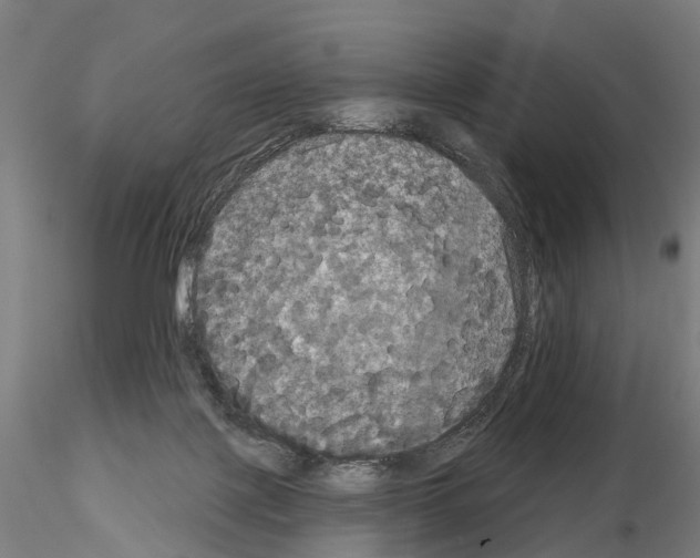 X0000114720075200912021204