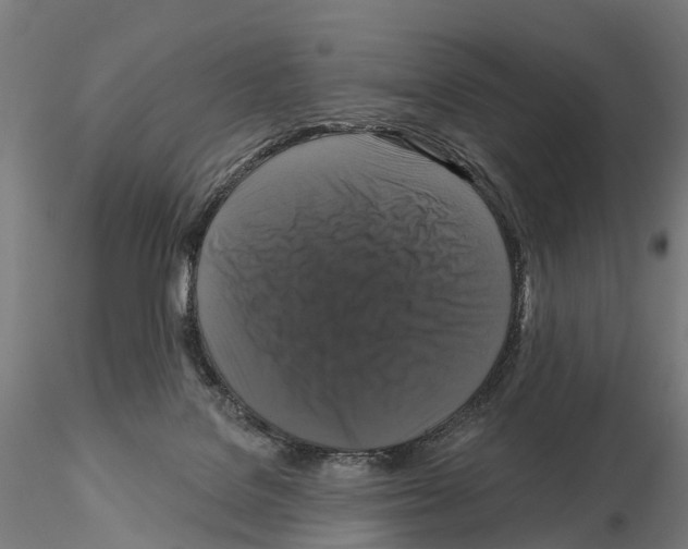 X0000114720076200912021204