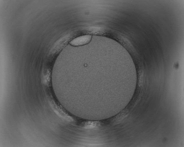 X0000114720077200912021204