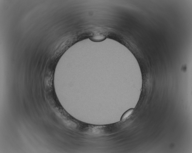 X0000114720078200912021204