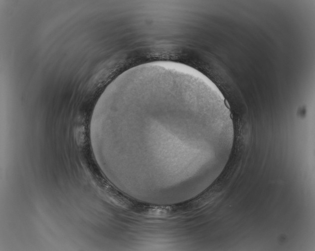 X0000114720080200912021204