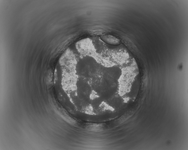 X0000114720081200912021205