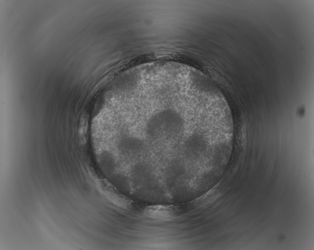 X0000114720082200912021205