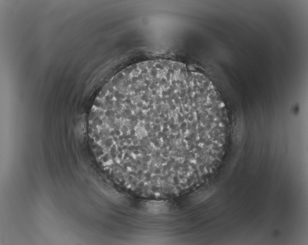 X0000114720085200912021205