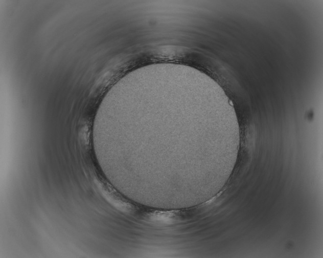 X0000114720086200912021205